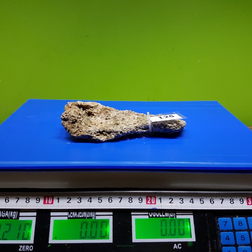 Żywa skała 0.21 kg (65 pln/kg) nr 125