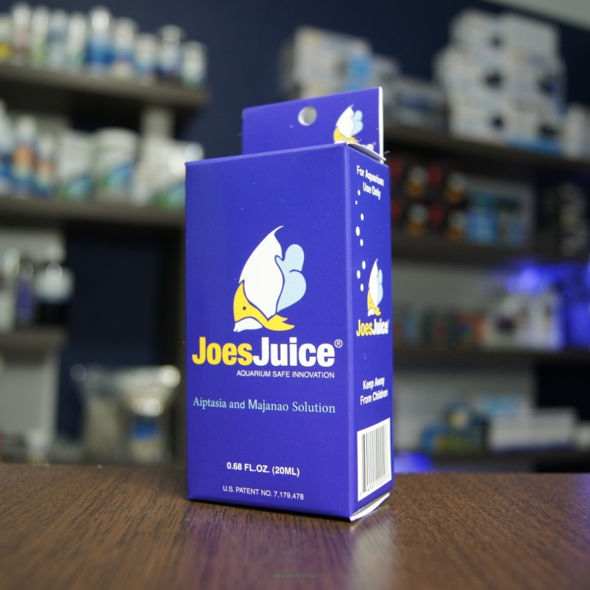 Joes juice outlet aiptasia