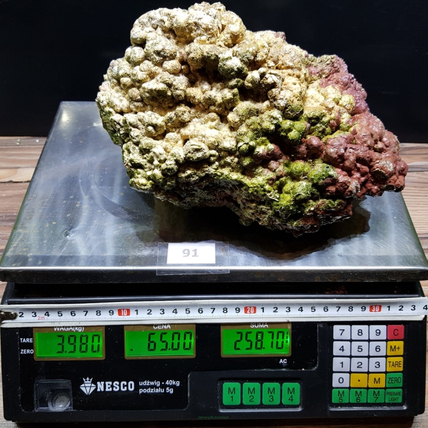 Żywa skała 3.98 kg (65 pln/kg) nr 91