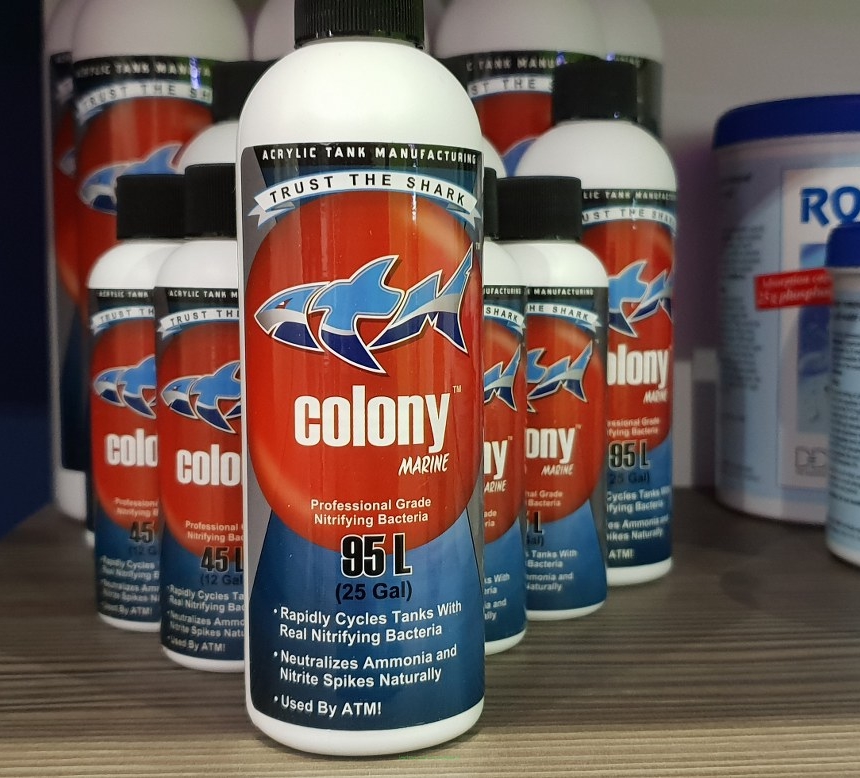 ATM COLONY Marine – dopalacz cyklu azotowego 237 ml (bakterie nitryfikujące)