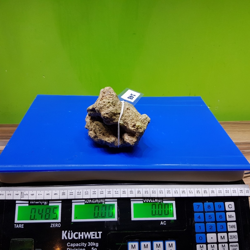 Żywa skała 0.485 kg (65 pln/kg) nr 148