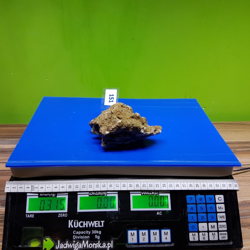 Żywa skała 0.315 kg (65 pln/kg) nr 151