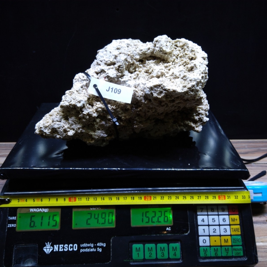 Sucha skała premium 6.115 kg (24.90 pln/kg) nr J109 INDONEZJA