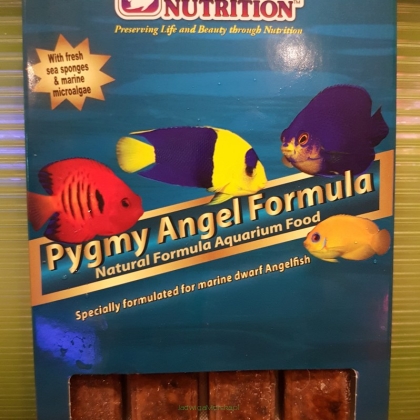 Pygmy Angel Formula 100g (dla centropyg)