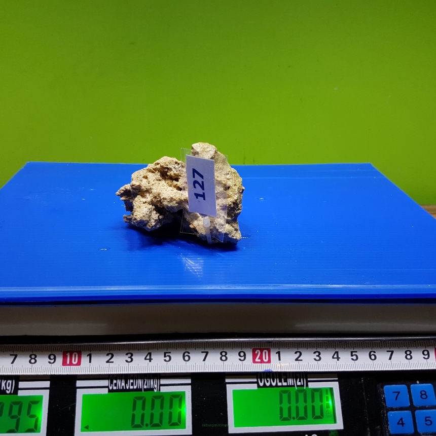 Żywa skała 0.295 kg (65 pln/kg) nr 127