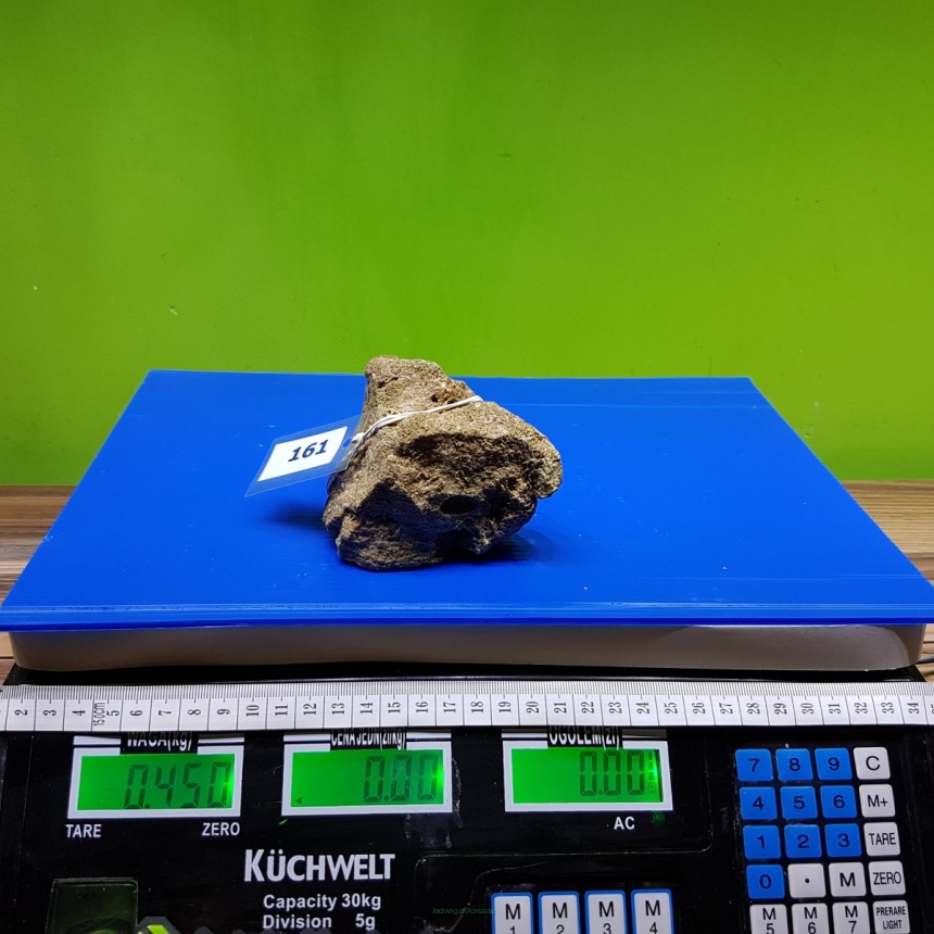 Żywa skała 0.45 kg (65 pln/kg) nr 161