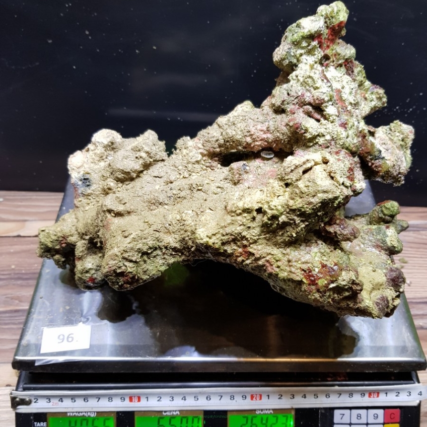 Żywa skała 4.065 kg (65 pln/kg) nr 96