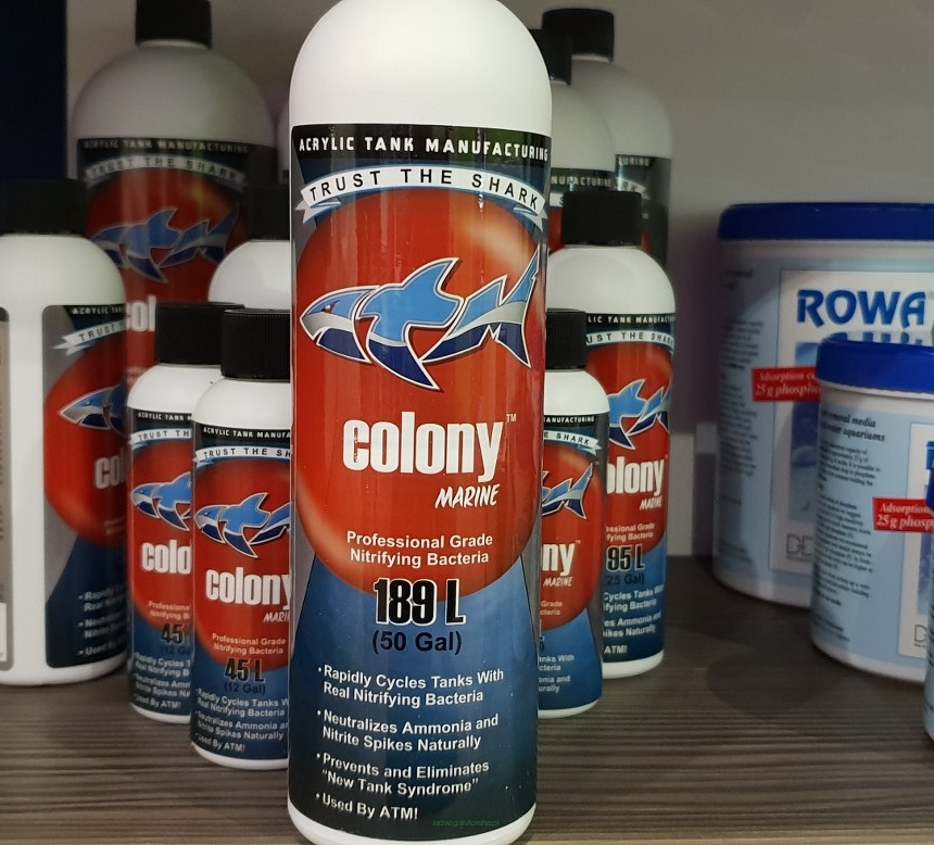 ATM COLONY Marine – dopalacz cyklu azotowego 473 ml (bakterie nitryfikujące)