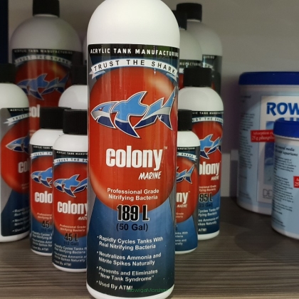 ATM COLONY Marine – dopalacz cyklu azotowego 473 ml (bakterie nitryfikujące)