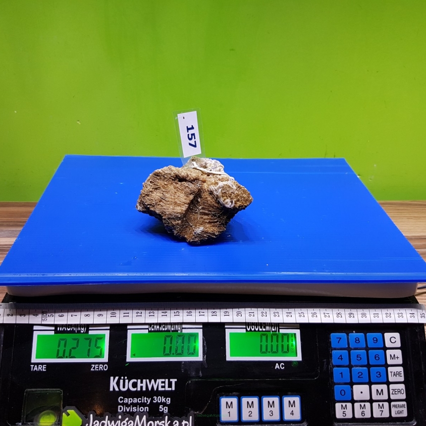Żywa skała 0.275 kg (65 pln/kg) nr 157