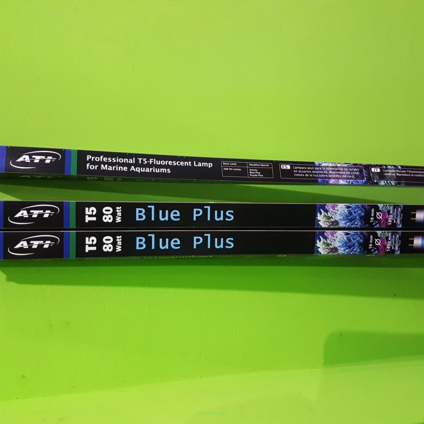 Świetlówka T5 24W (55 cm) ATI Blue Plus (Dobra Cena Bez Rabatu)