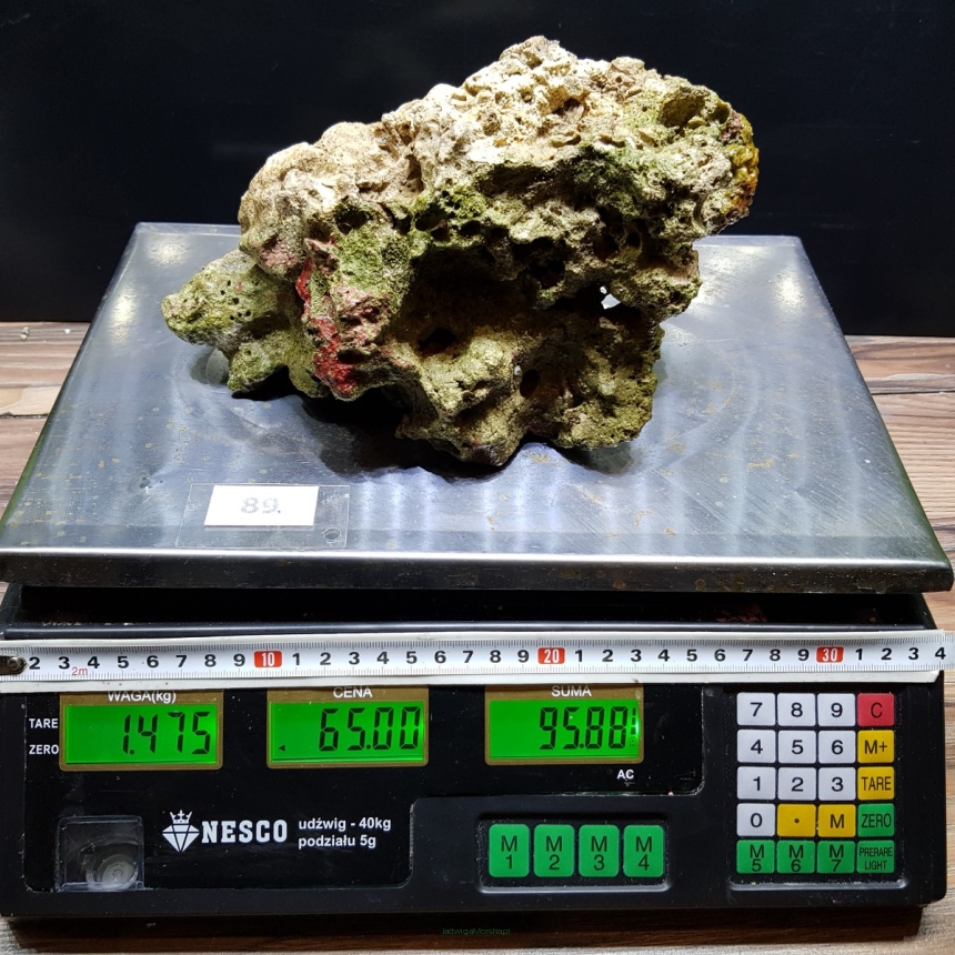 Żywa skała 1.475 kg (65 pln/kg) nr 89