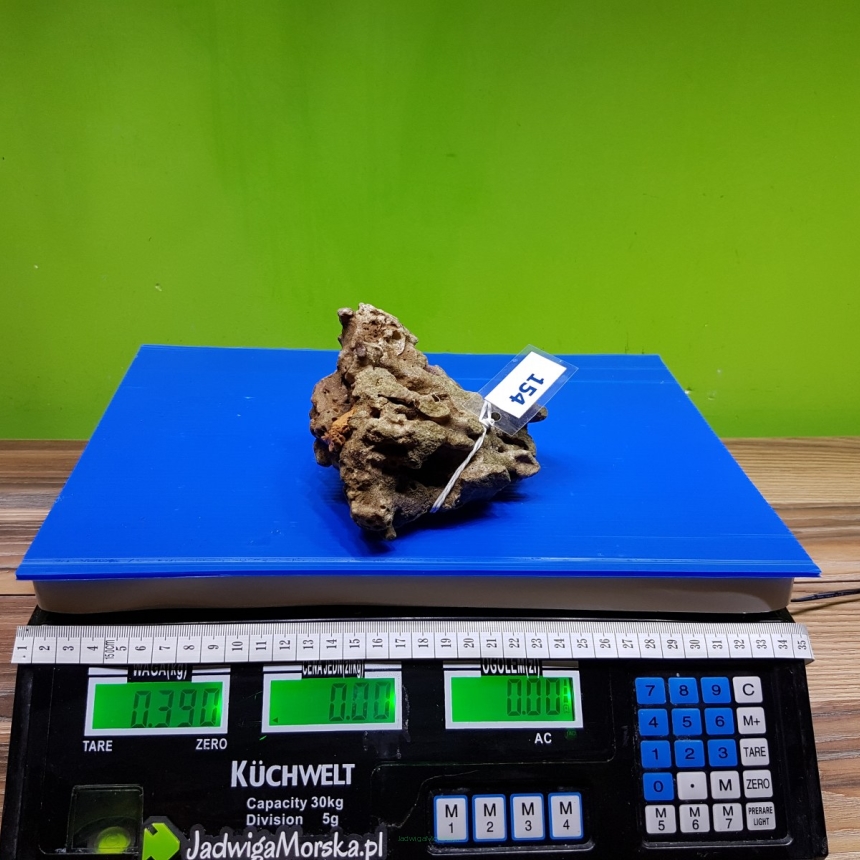 Żywa skała 0.39 kg (65 pln/kg) nr 154