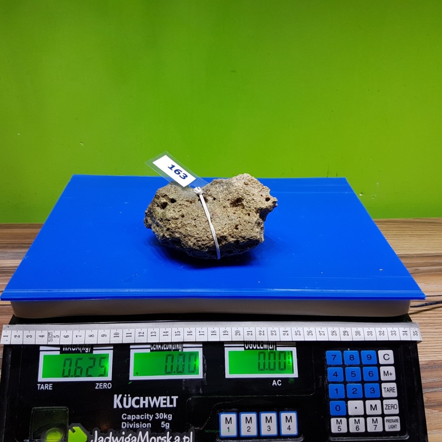 Żywa skała 0.625 kg (65 pln/kg) nr 163