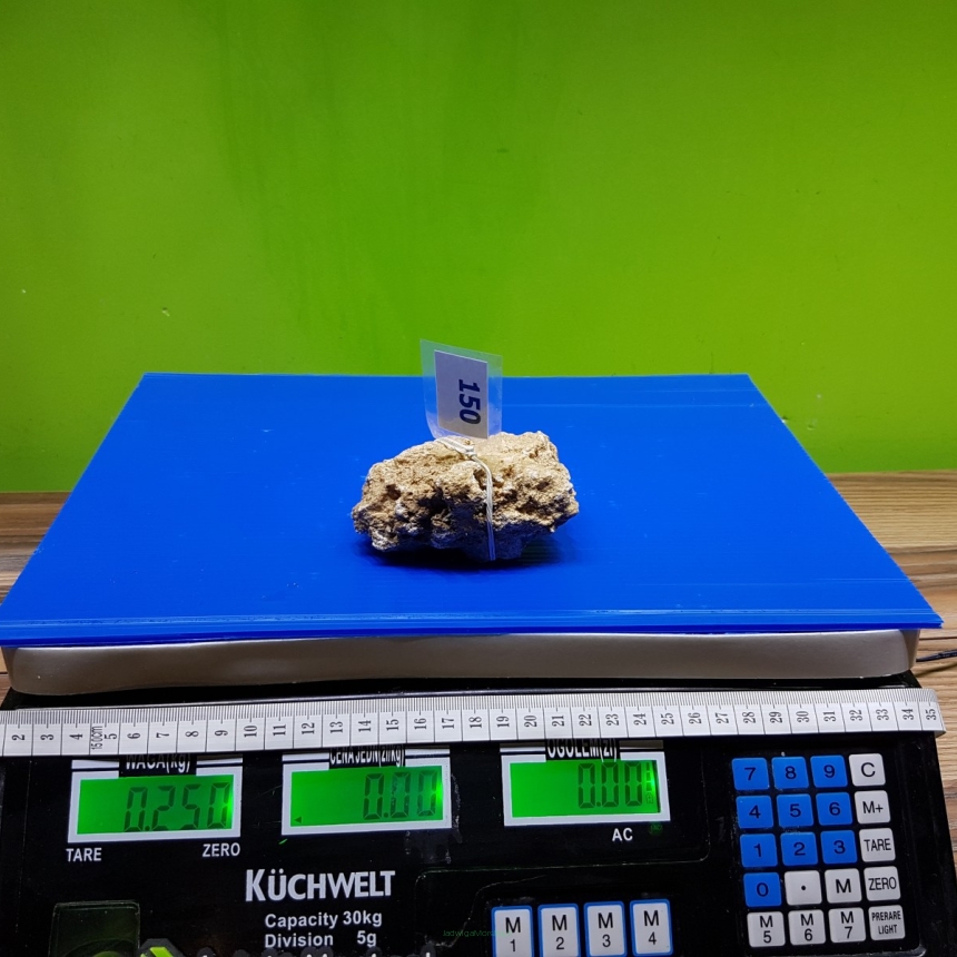 Żywa skała 0.25 kg (65 pln/kg) nr 150