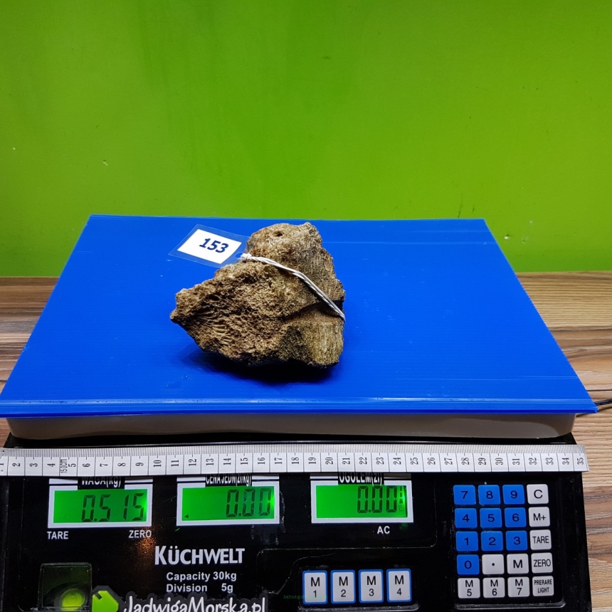 Żywa skała 0.515 kg (65 pln/kg) nr 153