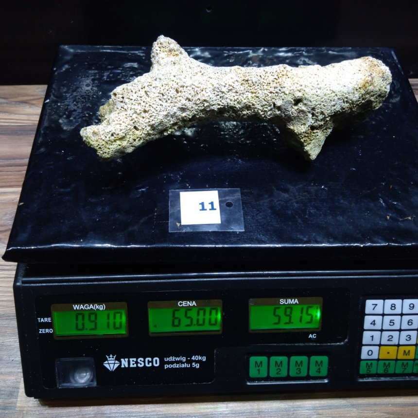 Żywa skała 0.91 kg (65 pln/kg) nr 11