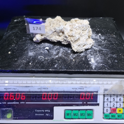 Sucha skała premium 0.606 kg (24.90 pln/kg) nr 174 INDONEZJA