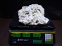 Sucha skała premium 4.175 kg (24.90 pln/kg) nr J22 INDONEZJA