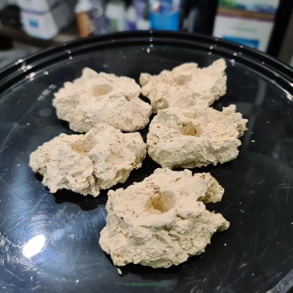 Podstawka ceramiczna naturalna DUŻA pod szczepki koralowców 1 SZT Arka Biotech ASNLG