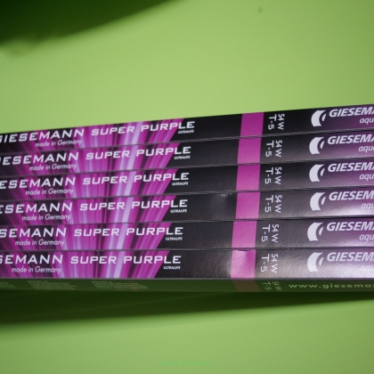 Świetlówka T5 54W (115 cm) Giesemann Super Purple