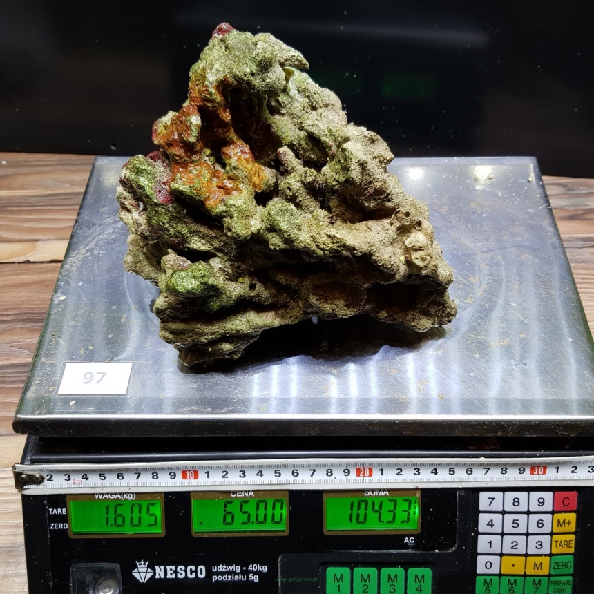 Żywa skała 1.605 kg (65 pln/kg) nr 97