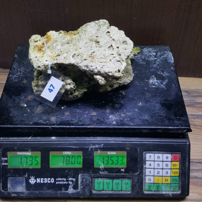 Żywa skała 1.735 kg (78 pln/kg) nr 47