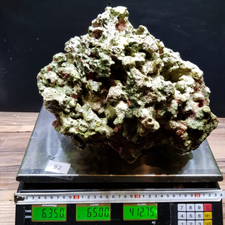 Żywa skała 6.35 kg (65 pln/kg) nr 92