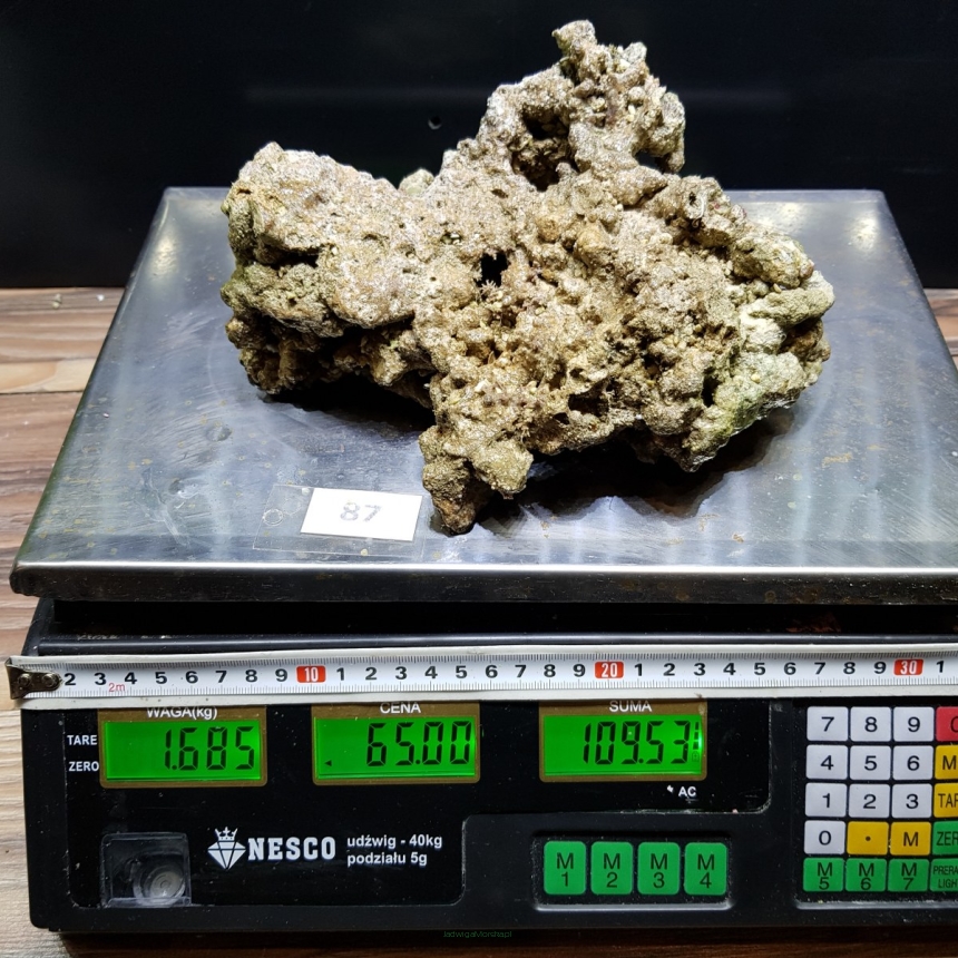 Żywa skała 1.685 kg (65 pln/kg) nr 87
