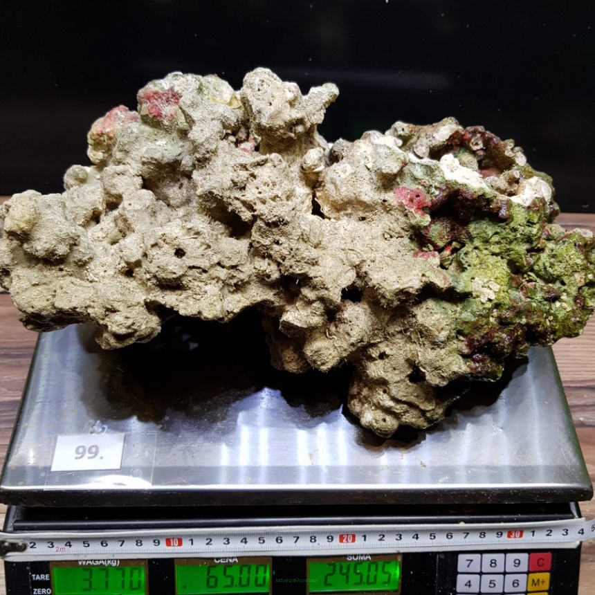 Żywa skała 3.77 kg (65 pln/kg) nr 99