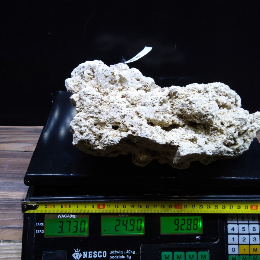 Sucha skała premium 3.73 kg (24.90 pln/kg) nr J129 INDONEZJA
