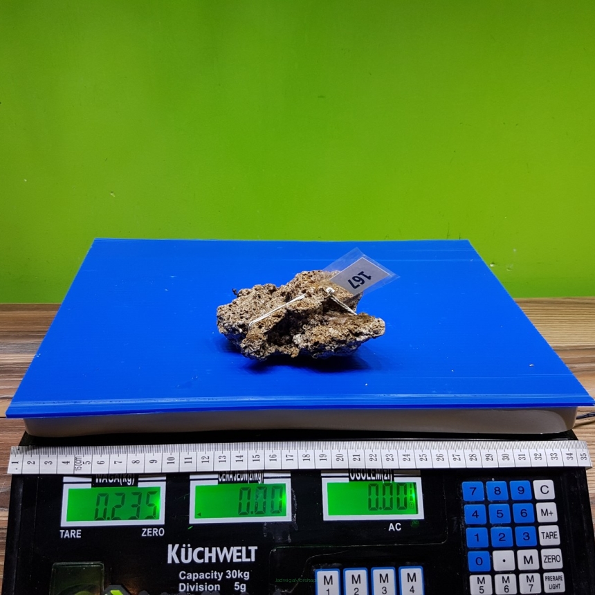 Żywa skała 0.235 kg (65 pln/kg) nr 167