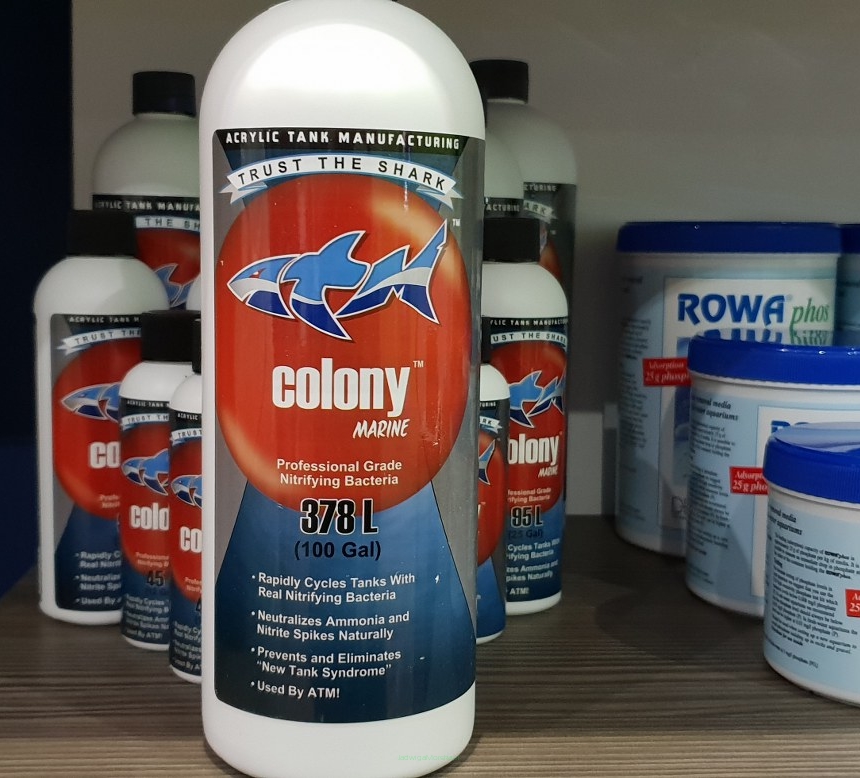 ATM COLONY Marine – dopalacz cyklu azotowego 946 ml (bakterie nitryfikujące)