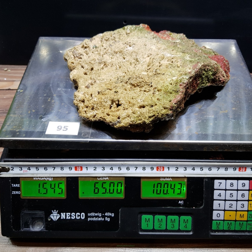 Żywa skała 1.545 kg (65 pln/kg) nr 95