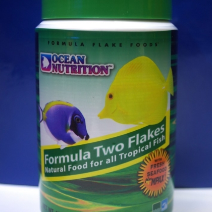 Ocean Nutrition Formula Two 156g płatki
