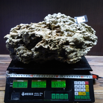 Żywa skała 8.43 kg (78 pln/kg) nr 5