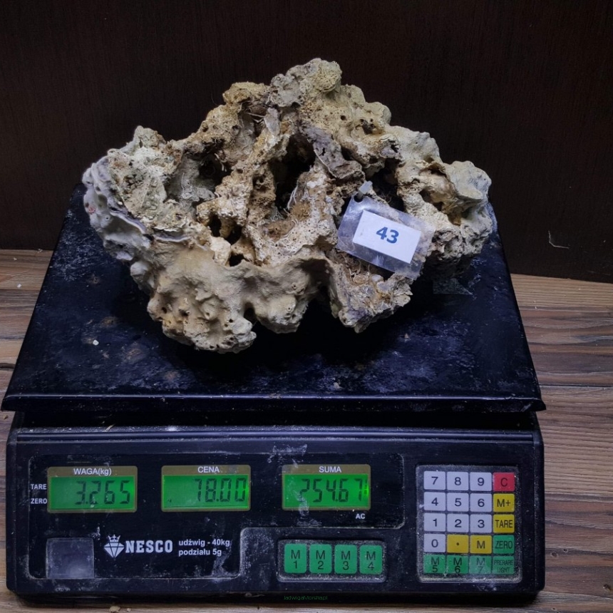 Żywa skała 3.265 kg (78 pln/kg) nr 43