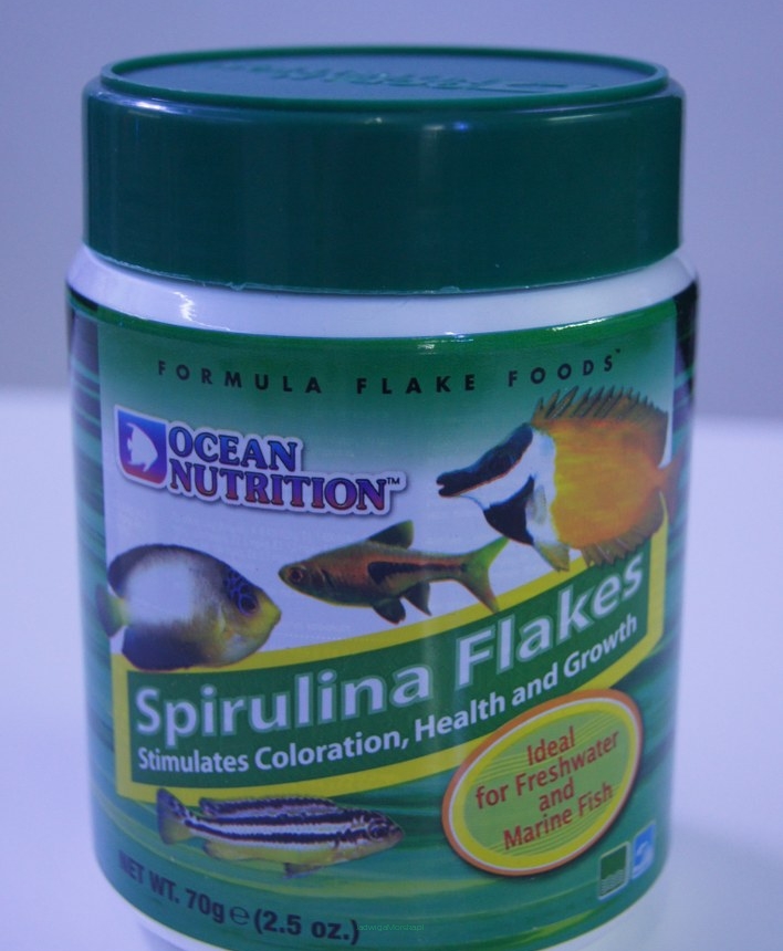 Ocean Nutrition Spirulina 71g płatki