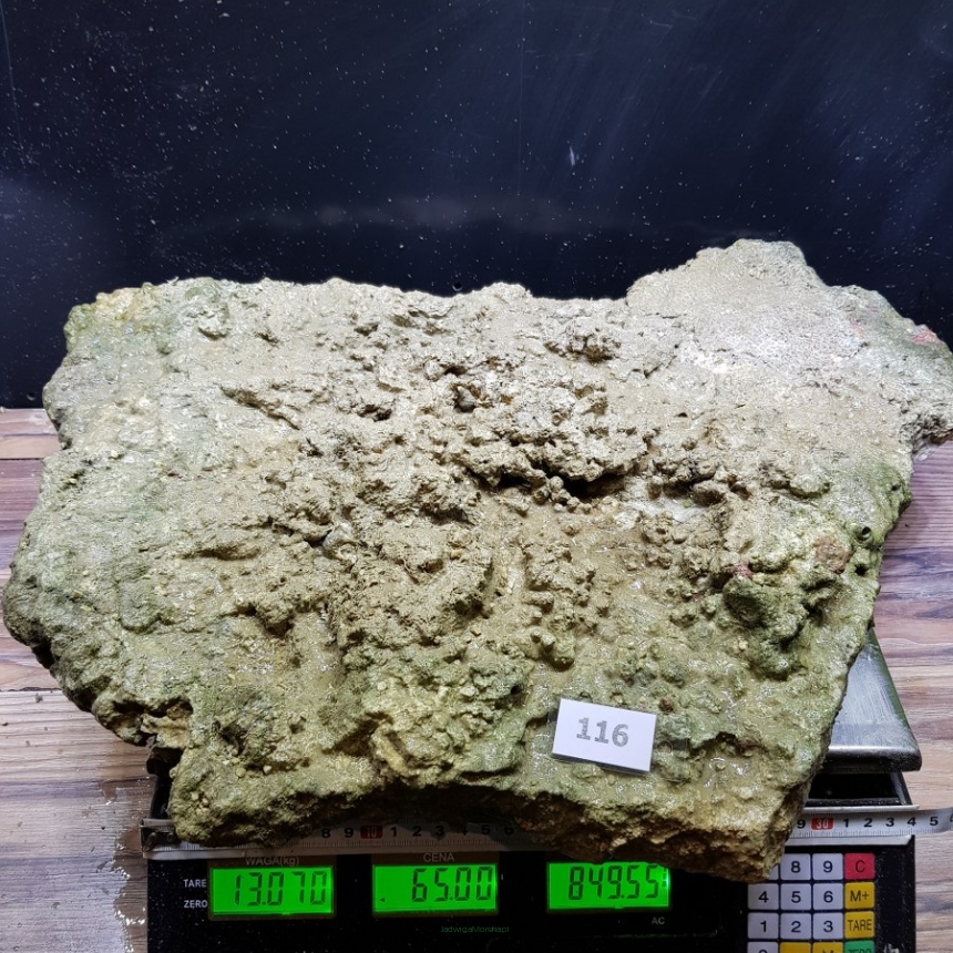 Żywa skała 13.07 kg (65 pln/kg) nr 116