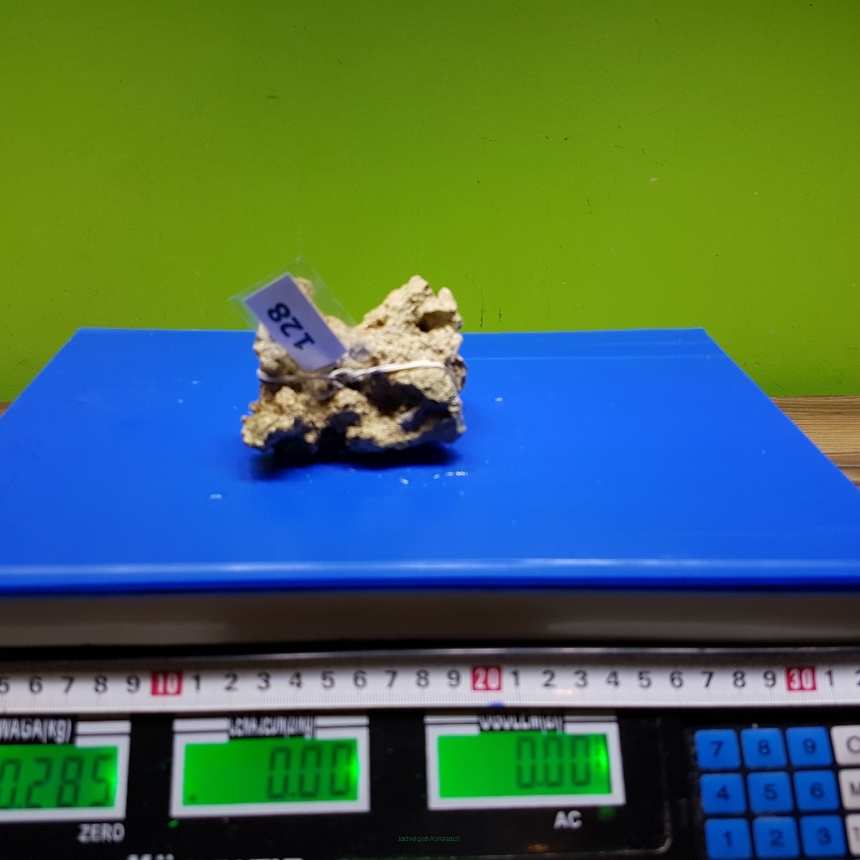 Żywa skała 0.285 kg (65 pln/kg) nr 128