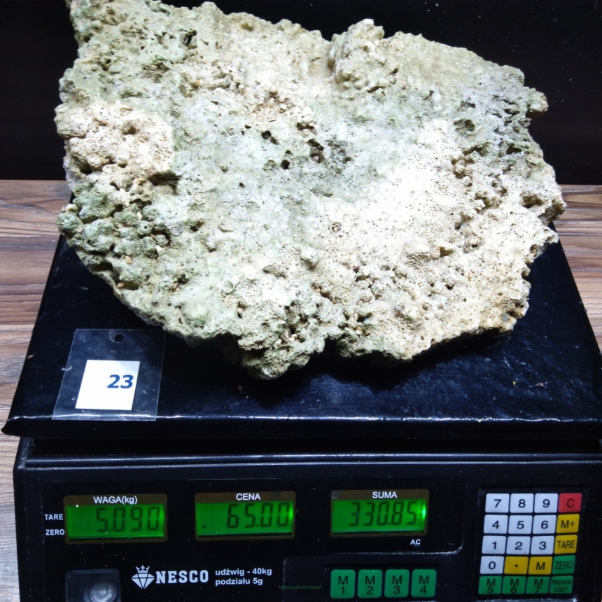 Żywa skała 5.09 kg (65 pln/kg) nr 23