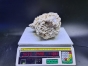 Sucha skała premium 4.694 kg (24.90 pln/kg) nr J76 INDONEZJA