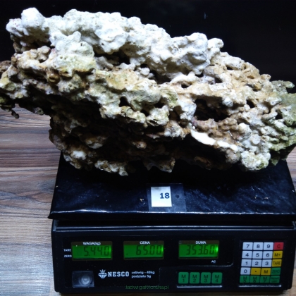 Żywa skała 5.44 kg (65 pln/kg) nr 18