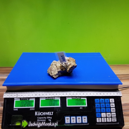 Żywa skała 0.28 kg (65 pln/kg) nr 169