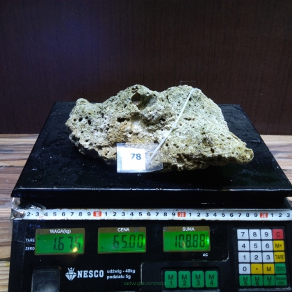 Żywa skała 1.675 kg (65 pln/kg) nr 78