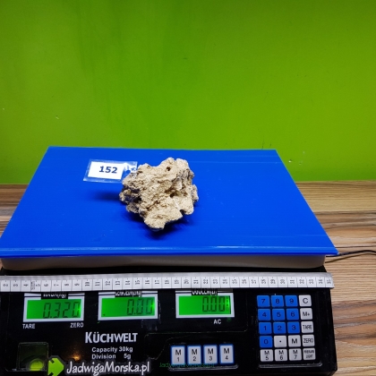 Żywa skała 0.32 kg (65 pln/kg) nr 152
