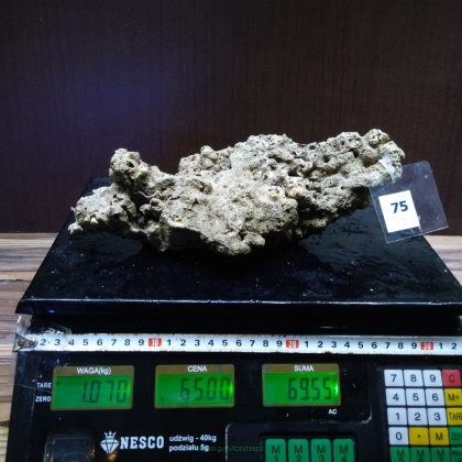 Żywa skała 1.07 kg (65 pln/kg) nr 75