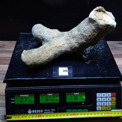 Żywa skała 2.75 kg (65 pln/kg) nr 26