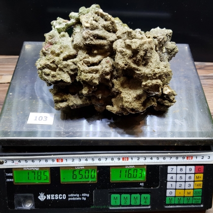 Żywa skała 1.785 kg (65 pln/kg) nr 103