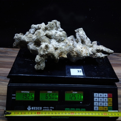 Żywa skała 1.925 kg (65 pln/kg) nr 32